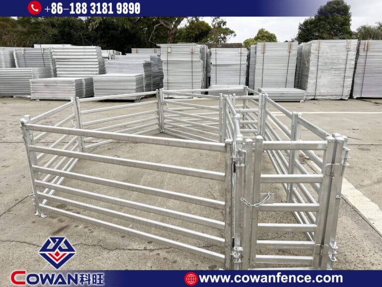 Cattle Yards Packing & Loading Container